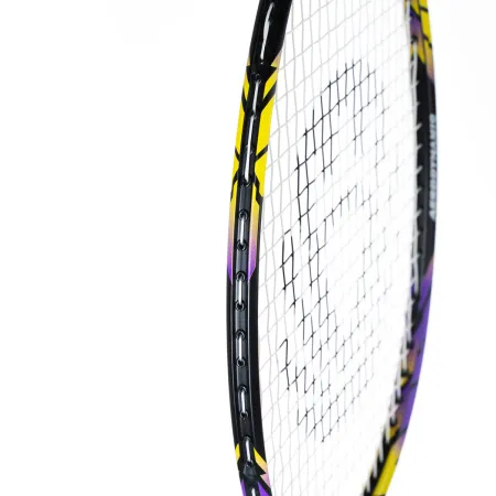 Ракетка бадм. TORRES Carbon PRO6, BD20521,для продв., стерж/обод из карбона,со струнами, фиол за 4&nbsp;477.80 ₽ купить в Якутске