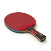 Ракетка для н/т DOUBLE FISH 7A+C, для професс.,ITTF Appr.,накл.2,1мм,+ 2 мяча V40+мм ITTF Appr за 3&nbsp;559.80 ₽ купить в Якутске