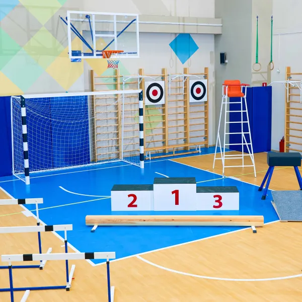 Щит для метания навесной на шведскую стенку (фанера) 700х700 ZAVODSPORTA за 8&nbsp;960 ₽ в Якутске