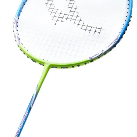 Ракетка для бадм. DOUBLE FISH JINQUE QT-1601, для продвинутых,карбон со струнами,литая,голубой за 3&nbsp;015.80 ₽ купить в Якутске