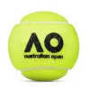 Мяч теннисный Dunlop Australian Open, 601601, уп..3 шт, одобр.ITF,фетр,нат.резина, желтый за 1&nbsp;171.30 ₽ купить в Якутске