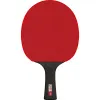 Ракетка для н/т DOUBLE FISH Black Carbon King Racket 5*****, для професс.,ITTF Appr.,накл.2,1,мм за 6&nbsp;434.50 ₽ купить в Якутске
