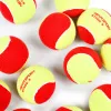 Мяч теннисный детский NS Red, 5021009, уп.12 шт, резина, шерть, нейлон, желто-красный за 2&nbsp;941 ₽ купить в Якутске