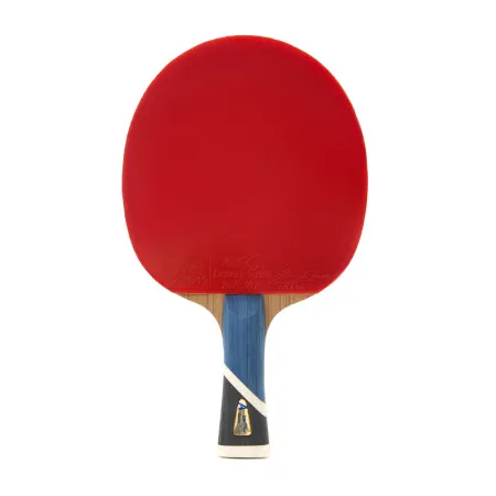 Ракетка для н/т DOUBLE FISH 5A+C, для продвин, ITTF Appr, накл. 2,1 мм, конич. ручка+ 2 мяча V40+мм за 2&nbsp;779.50 ₽ купить в Якутске