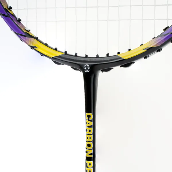 Ракетка бадм. TORRES Carbon PRO6, BD20521,для продв., стерж/обод из карбона,со струнами, фиол за 4&nbsp;477.80 ₽ в Якутске