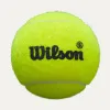 Мяч для падела Wilson Premier Padel Speed, WR8908501001, уп.3 шт, FIP Appr.,сукно, нат.резина,желтый за 1&nbsp;235.90 ₽ купить в Якутске