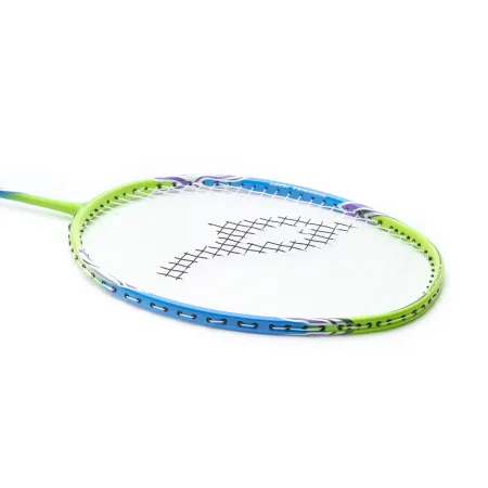 Ракетка для бадм. DOUBLE FISH JINQUE QT-1601, для продвинутых,карбон со струнами,литая,голубой за 3&nbsp;015.80 ₽ купить в Якутске